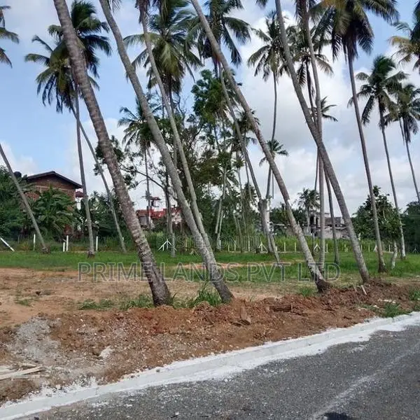කුරුණෑගල පැල්ලන්දෙනිය හන්දියෙන් ඉඩමක් විකිණීමට