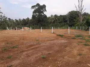 අලව්ව නගරයෙන් ඉඩමක් විකිණීමට