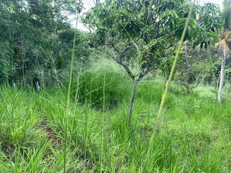 Lands for Sale in Ambathanna