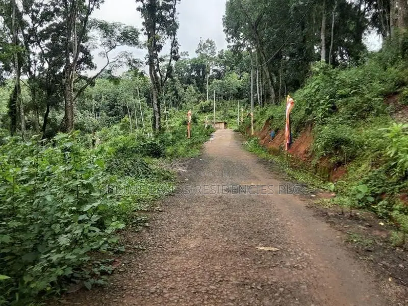 Lands for Sale in Nelumdeniya