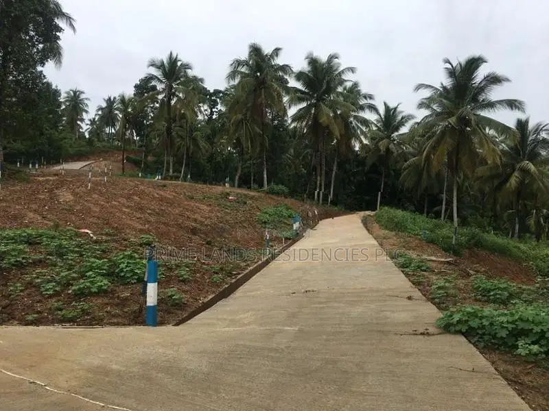 Lands for Sale in Rambukkana