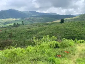 Lands for Sale in Upper Glenloch, Ramboda