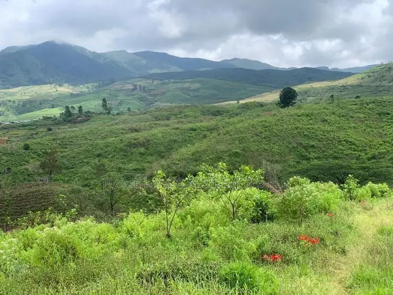 Lands for Sale in Upper Glenloch, Ramboda
