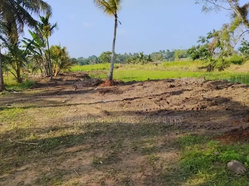 Anuradhapura Nachchaduwa Road New Land for Sale