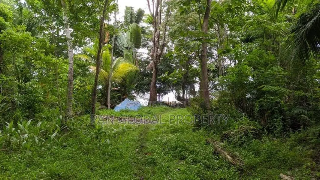 Waterfront Land in Bolgoda