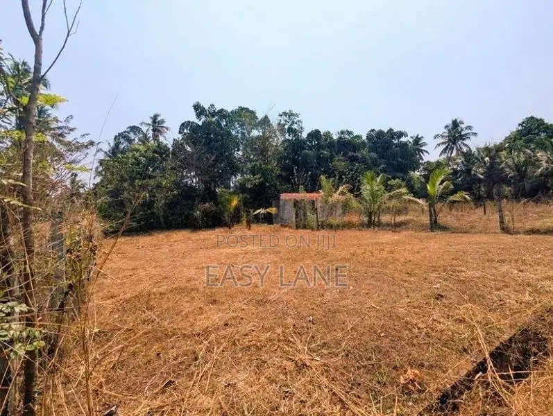 Land for Sale in Divulapitiya