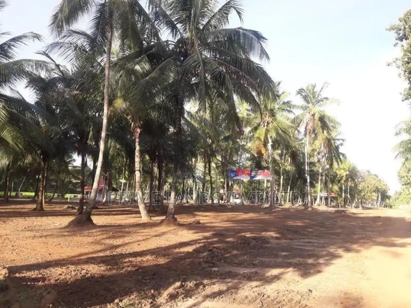 ව්‍යාපාරික හා නේවාසික බිම් කොටස් විකිනීමට අඹගස්වැව