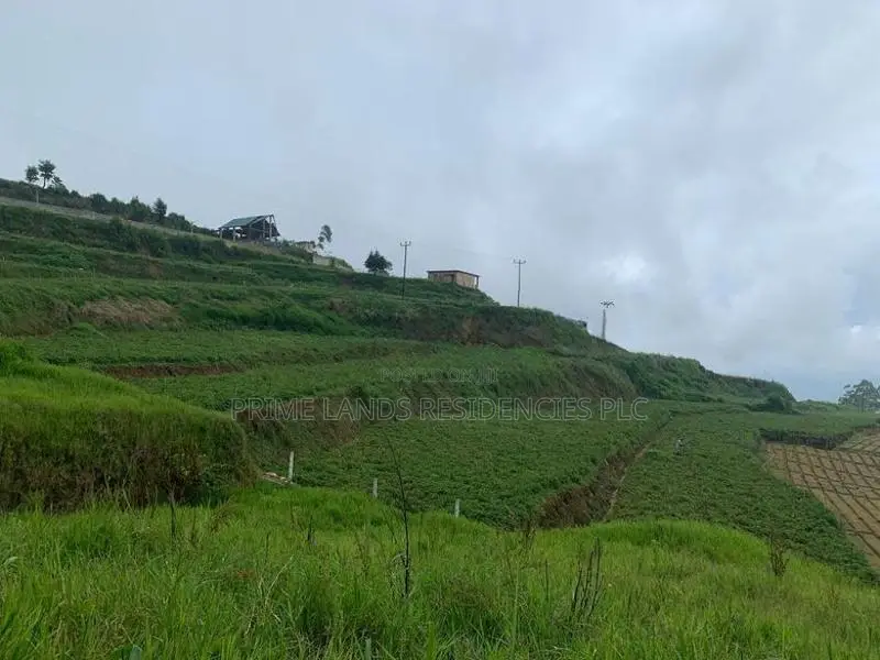 Lands for Sale in Ambewela