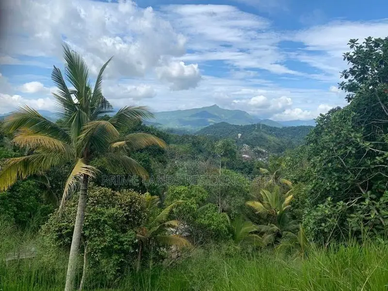 Lands for Sale in Ambathanna