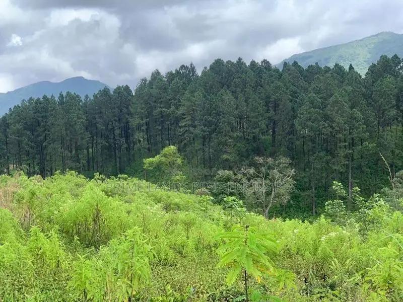 Lands for Sale in Upper Glenloch, Ramboda