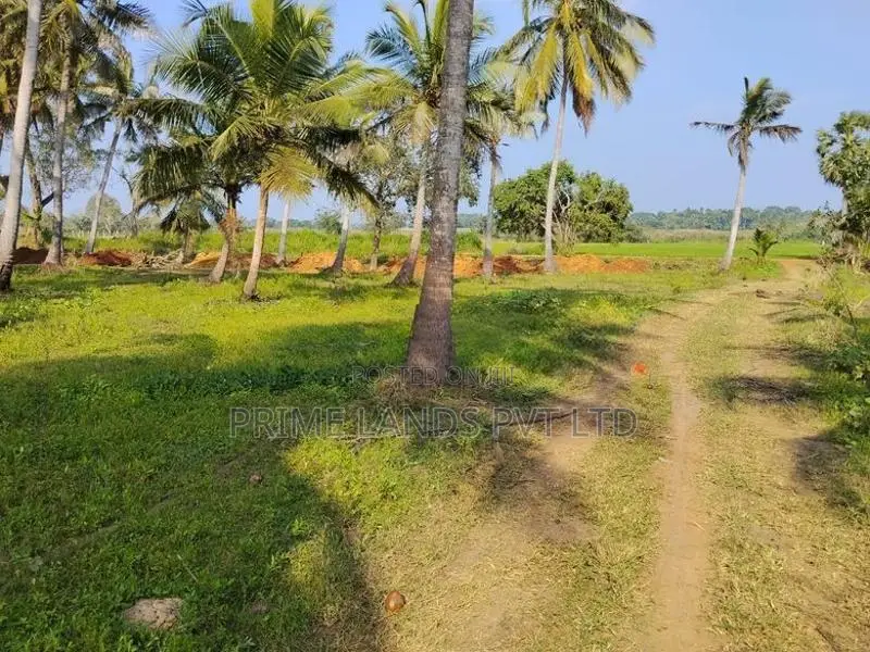 Anuradhapura Nachchaduwa Road New Land for Sale