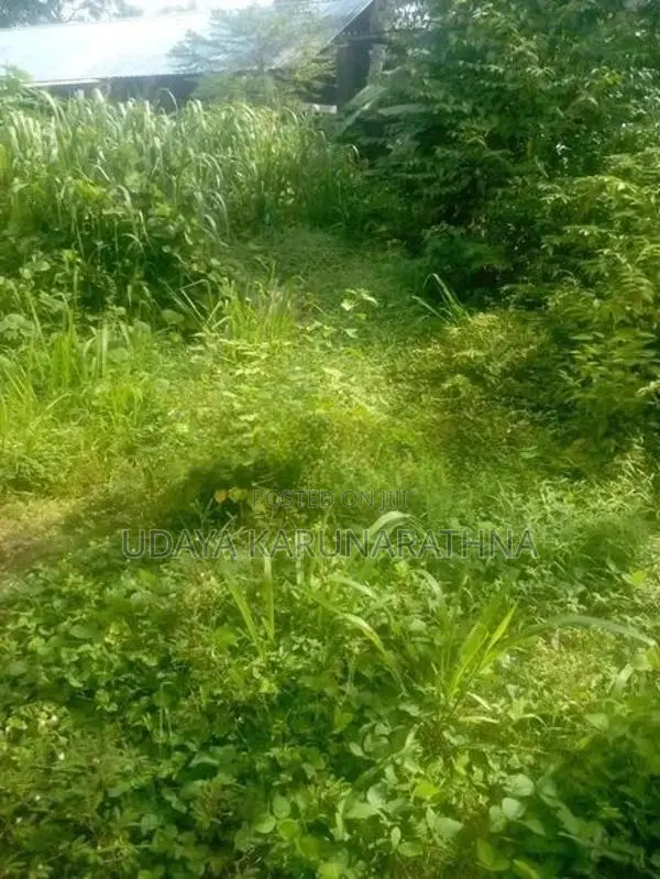 Land for Sale Kaduwela