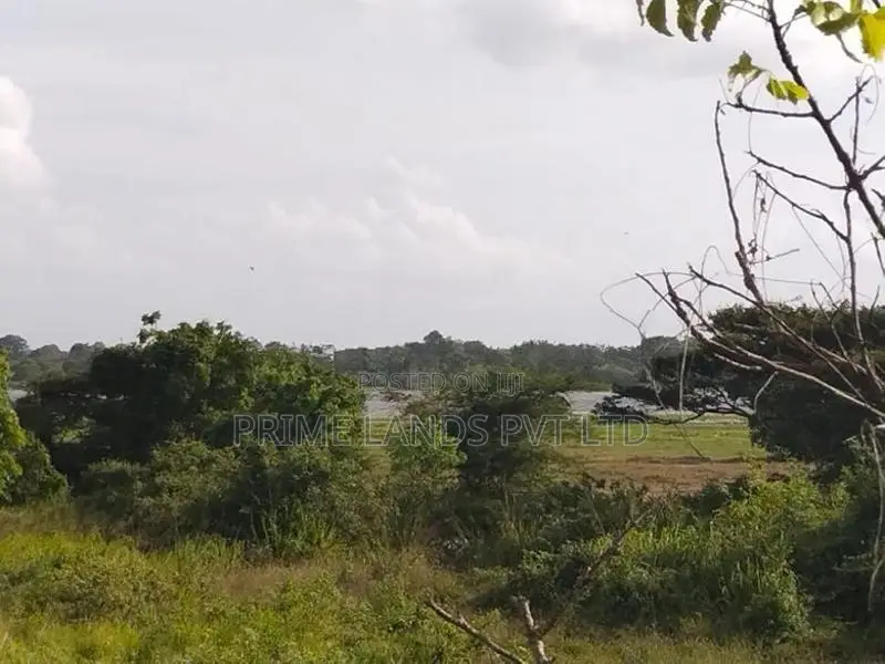 Land for Sale in Anuradhapura Puttalam Road