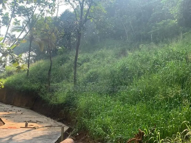 Lands for Sale in Ambathanna