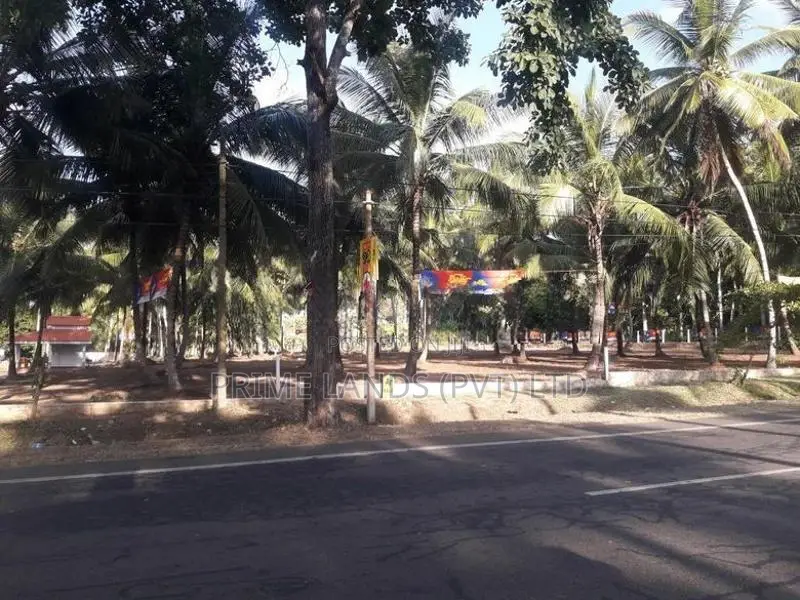 ව්‍යාපාරික හා නේවාසික බිම් කොටස් විකිනීමට අඹගස්වැව