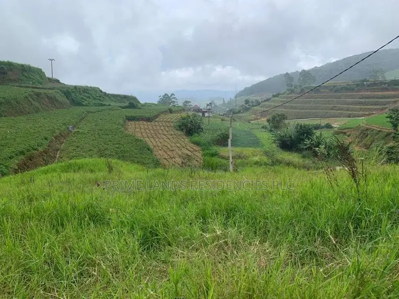 Lands for Sale in Ambewela