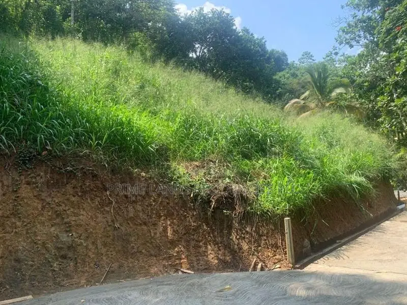 Lands for Sale in Ambathanna