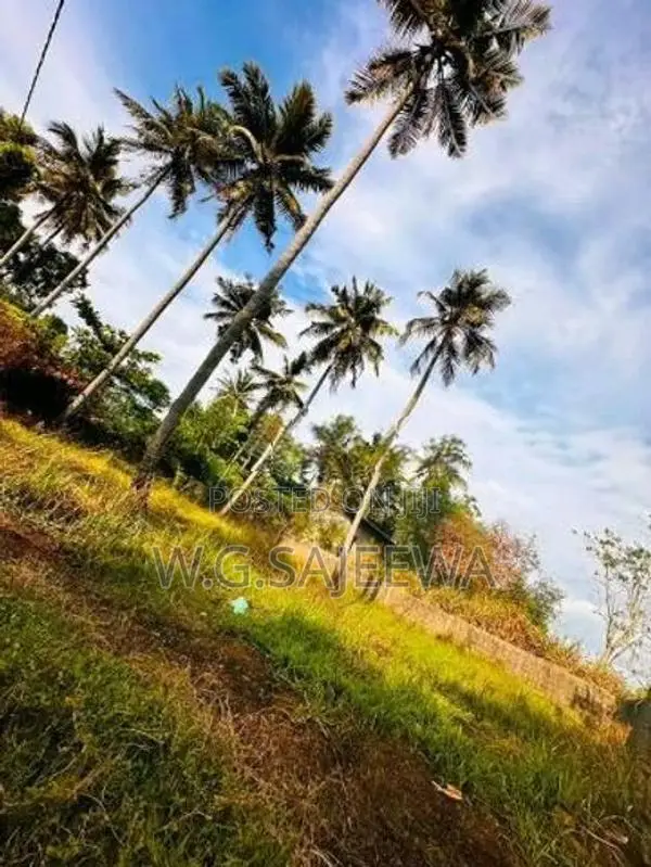 Valuable Land for Sale in Ja Ela