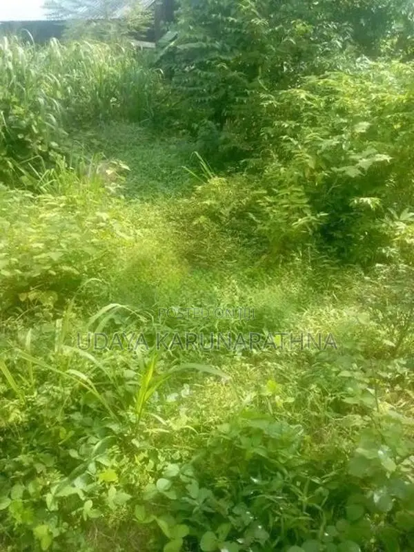 Land for Sale Kaduwela