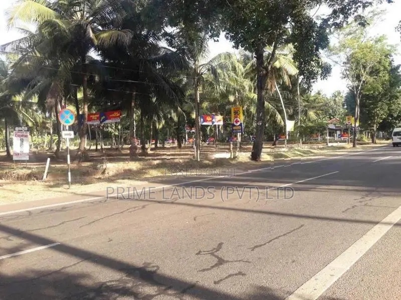 ව්‍යාපාරික හා නේවාසික බිම් කොටස් විකිනීමට අඹගස්වැව