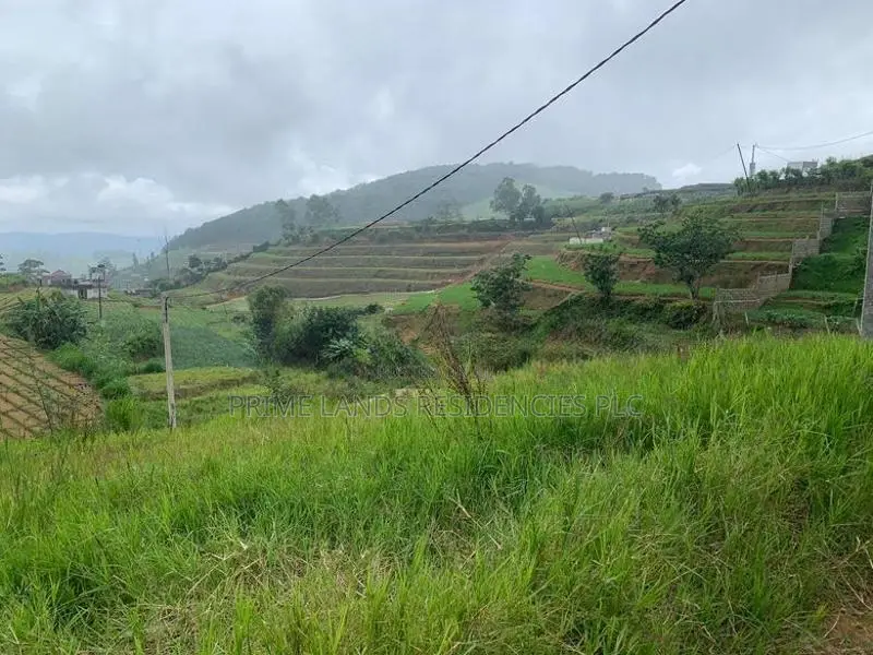 Lands for Sale in Ambewela