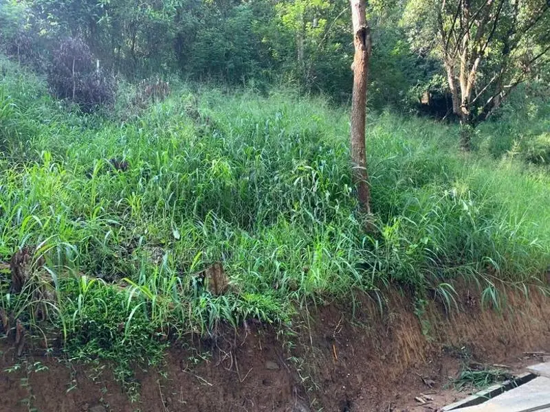 Lands for Sale in Ambathanna