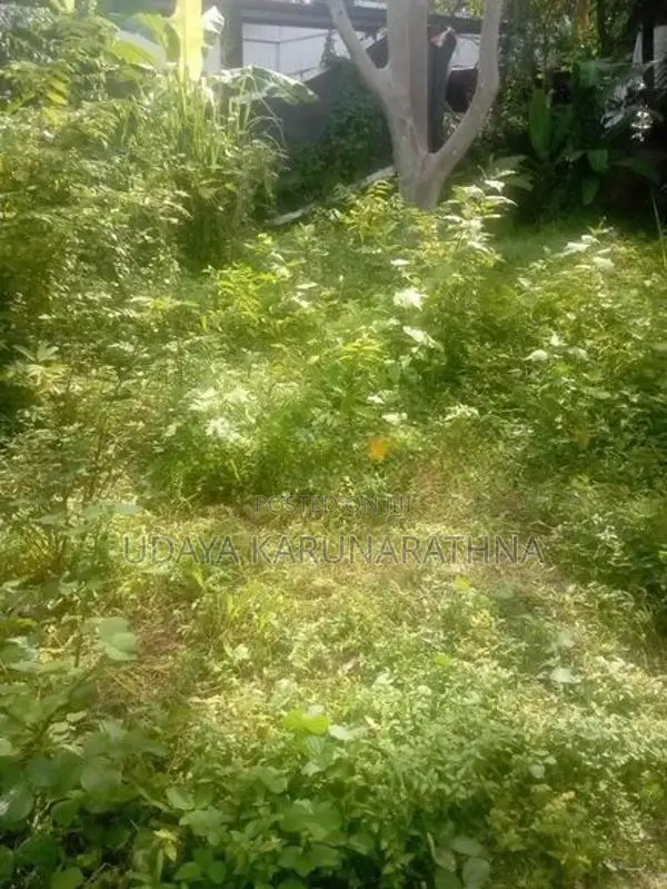 Land for Sale Kaduwela