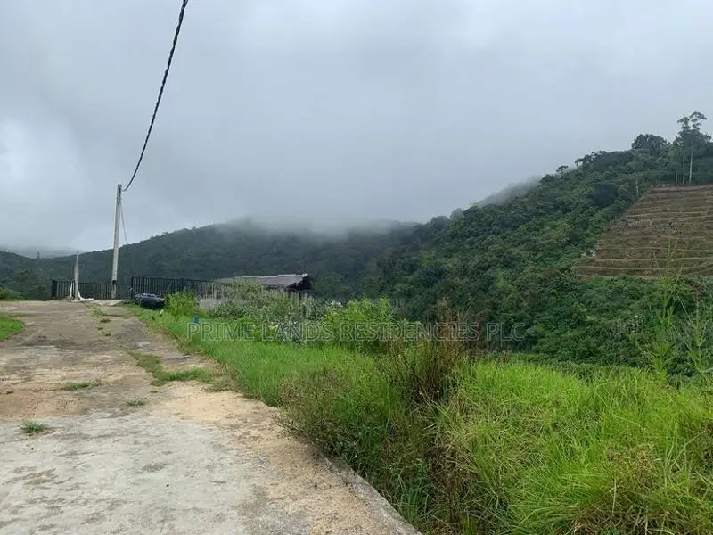 Lands for Sale in Ambewela