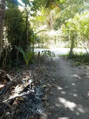 Land for Sale in Katunayake - Maduwa