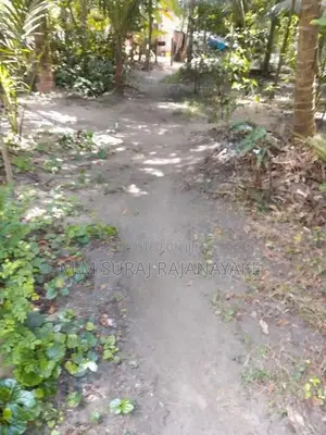 Land for Sale in Katunayake - Maduwa