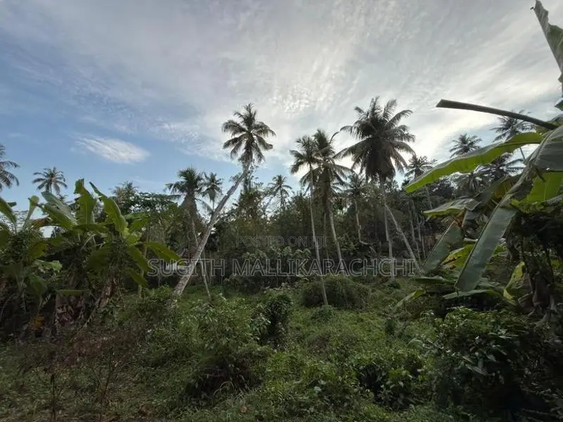 Land Sale In Matara