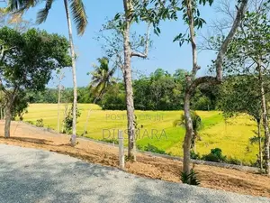 වෙල් යායකට මුහුණලා ඉඩමක් Matara