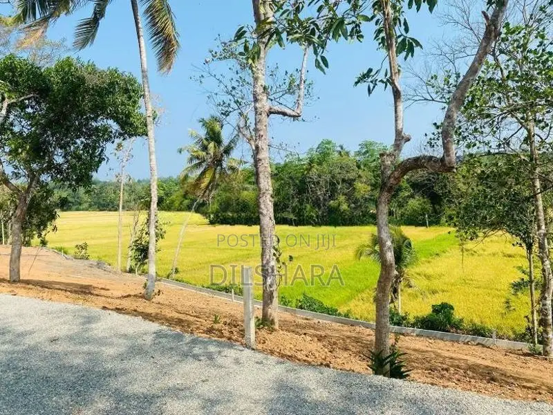 වෙල් යායකට මුහුණලා ඉඩමක් Matara