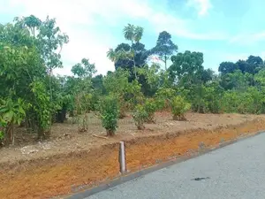 Land for Sale in Aluthwala