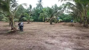 266P Beachfront Land in Kosgoda FOR SALE
