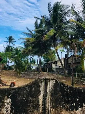 Land for Sale Seththappaduwa, Negombo