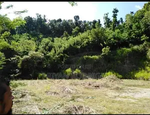 Galagedara 303 Perches of Land for Sale