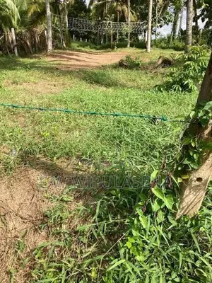 60 PERCH LAND for SALE in Miriswatha Ratupaswala