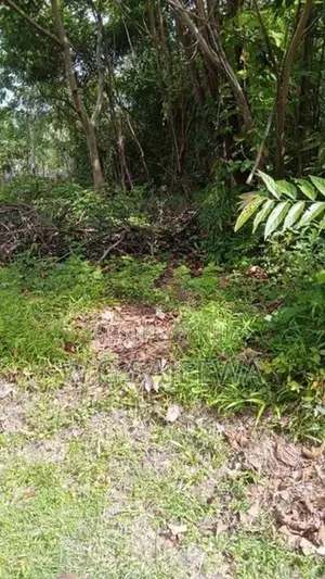 37.8 Perch Land for Sale Kandawala, Katana
