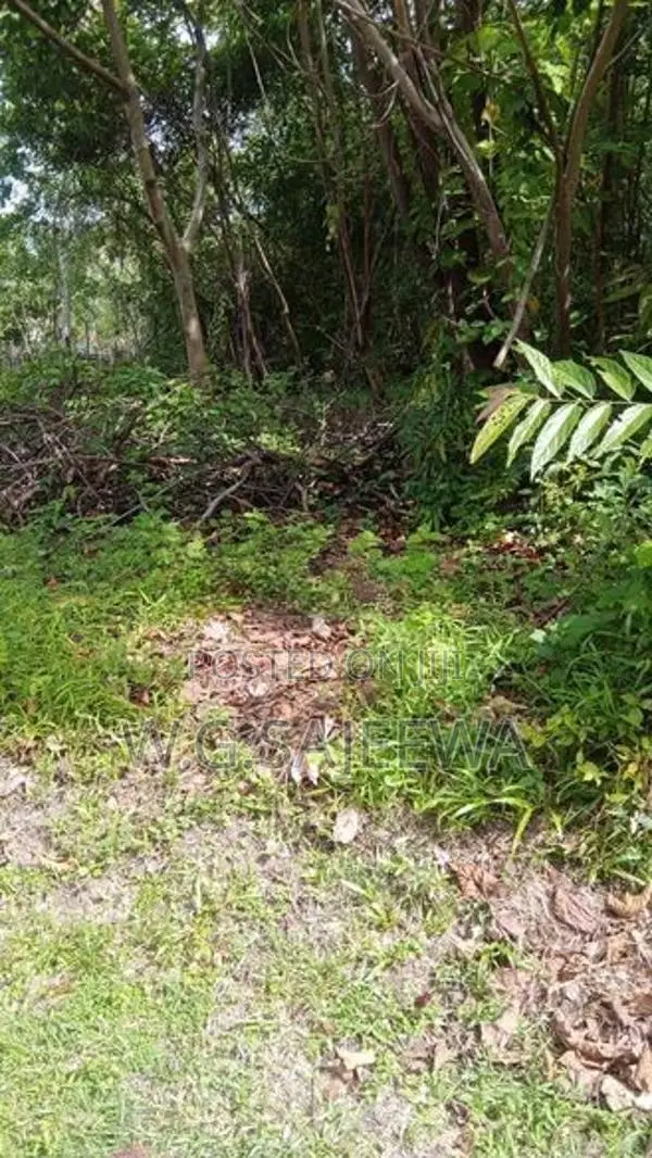 37.8 Perch Land for Sale Kandawala, Katana