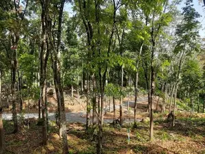 Land for Sale in Nelundeniya