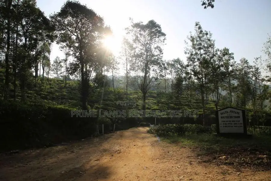 Land for Sale in Pussellawa