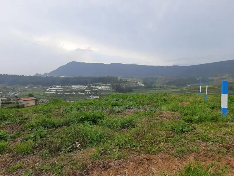 Land for Sale in Nuwaraeliya, Meepilimana