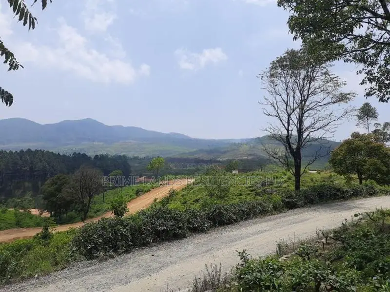 Land for Sale in Ramboda