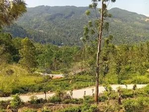 Mountain View Land for Sale in Nillamba