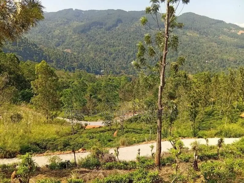 Mountain View Land for Sale in Nillamba