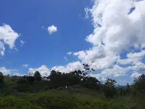 Land for Sale in Delthota