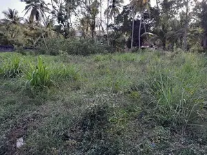 Bare Land for Sale Udubaddawa