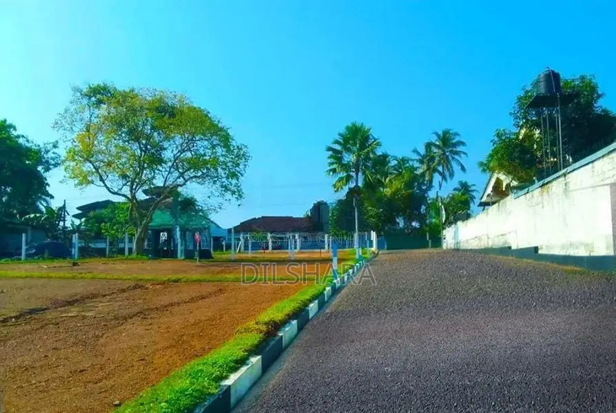 සුන්දර වෙල් යායක් අසන්නයෙන් ඉඩම් කැකනදුර