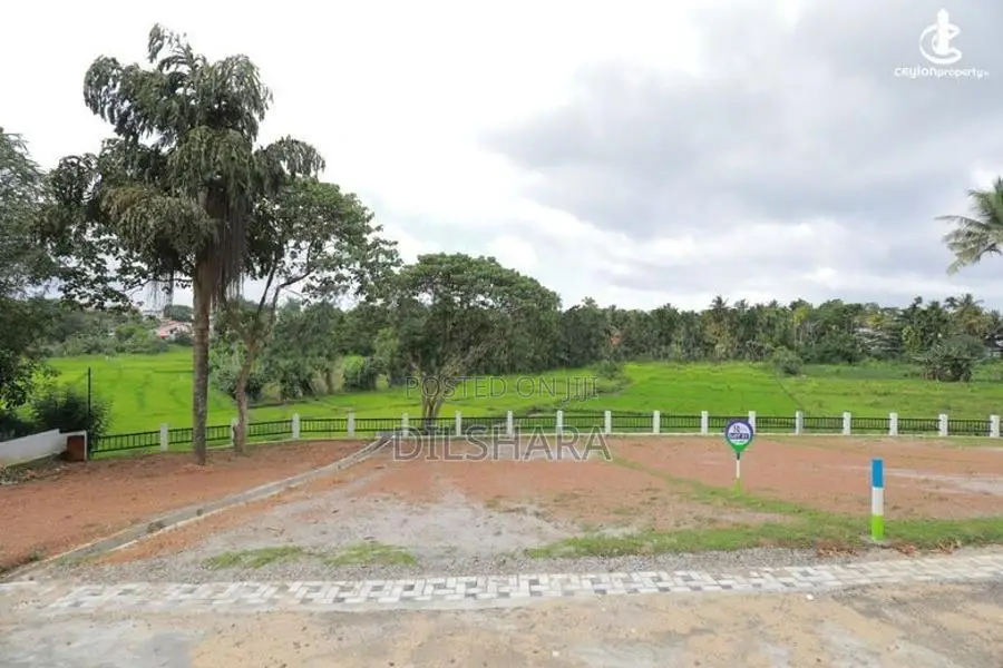 වෙල් යායකට මුහුණලා ඉඩමක් Matara